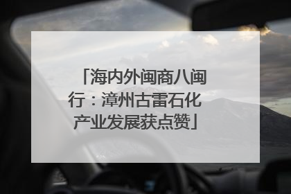 海内外闽商八闽行：漳州古雷石化产业发展获点赞