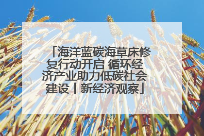 海洋蓝碳海草床修复行动开启 循环经济产业助力低碳社会建设丨新经济观察