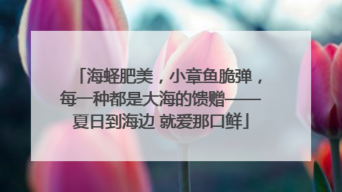 海蛏肥美，小章鱼脆弹，每一种都是大海的馈赠——夏日到海边 就爱那口鲜
