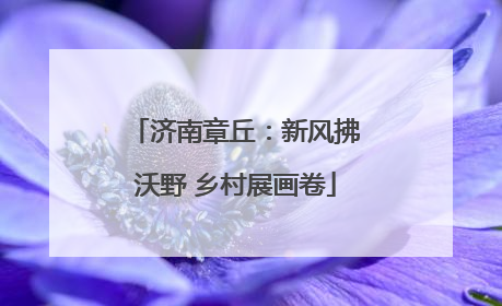 济南章丘：新风拂沃野 乡村展画卷