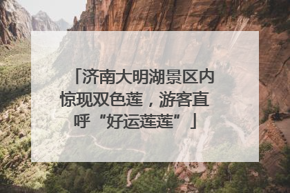 济南大明湖景区内惊现双色莲，游客直呼“好运莲莲”