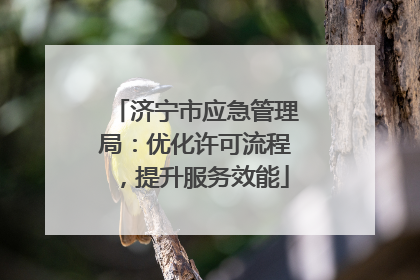 济宁市应急管理局：优化许可流程，提升服务效能