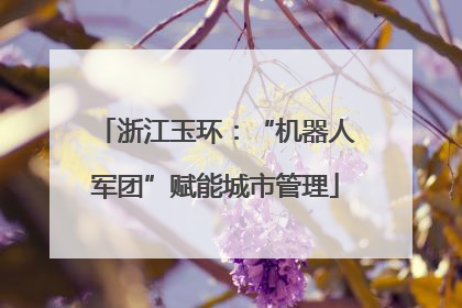 浙江玉环：“机器人军团”赋能城市管理