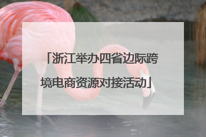 浙江举办四省边际跨境电商资源对接活动