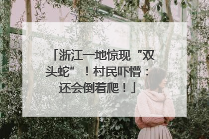 浙江一地惊现“双头蛇”！村民吓懵：还会倒着爬！