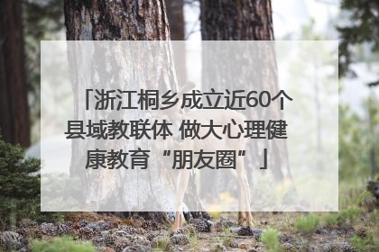 浙江桐乡成立近60个县域教联体 做大心理健康教育“朋友圈”