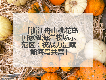 浙江舟山桃花岛国家级海洋牧场示范区：统战力量赋能海岛共富