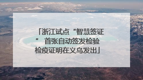 浙江试点“智慧签证” 首张自动签发检验检疫证明在义乌发出