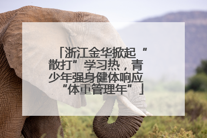 浙江金华掀起“散打”学习热，青少年强身健体响应“体重管理年”