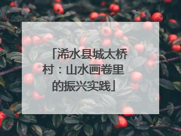 浠水县城太桥村：山水画卷里的振兴实践