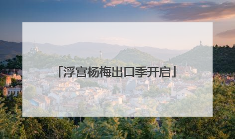 浮宫杨梅出口季开启