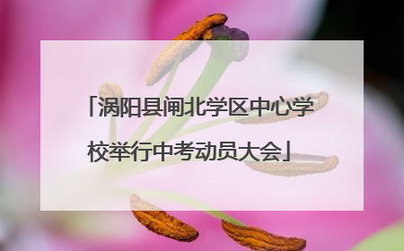 涡阳县闸北学区中心学校举行中考动员大会