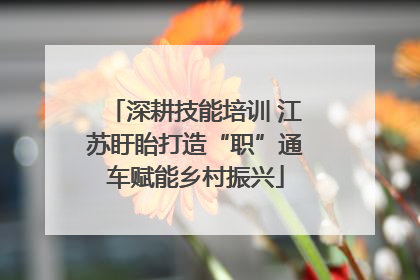 深耕技能培训 江苏盱眙打造“职”通车赋能乡村振兴