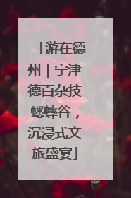 游在德州｜宁津德百杂技蟋蟀谷，沉浸式文旅盛宴