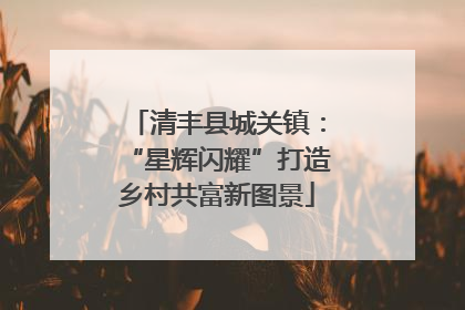 清丰县城关镇：“星辉闪耀”打造乡村共富新图景