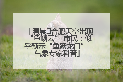 清晨﻿合肥天空出现“鱼鳞云” 市民：似乎预示“鱼跃龙门” 气象专家科普