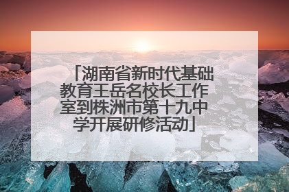 湖南省新时代基础教育王岳名校长工作室到株洲市第十九中学开展研修活动