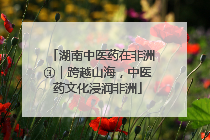 湖南中医药在非洲③｜跨越山海，中医药文化浸润非洲