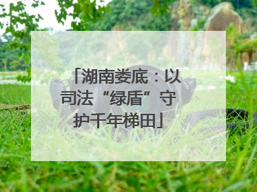 湖南娄底：以司法“绿盾”守护千年梯田
