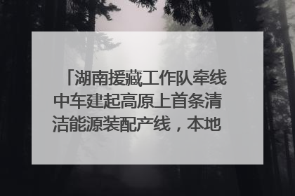 湖南援藏工作队牵线中车建起高原上首条清洁能源装配产线，本地大学生成车间检验员