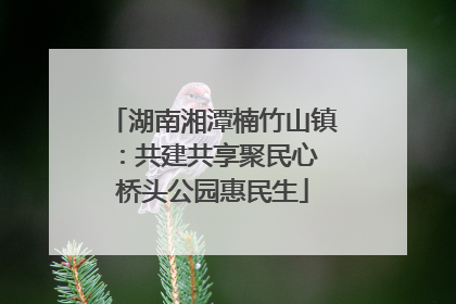 湖南湘潭楠竹山镇：共建共享聚民心 桥头公园惠民生