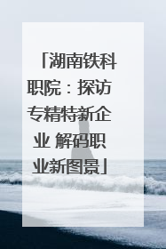 湖南铁科职院：探访专精特新企业 解码职业新图景