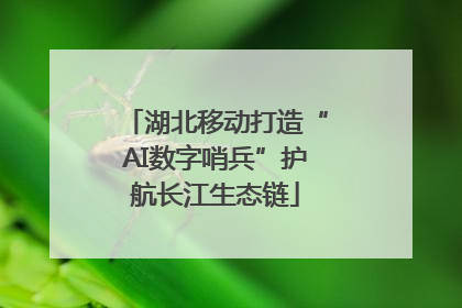 湖北移动打造“AI数字哨兵”护航长江生态链