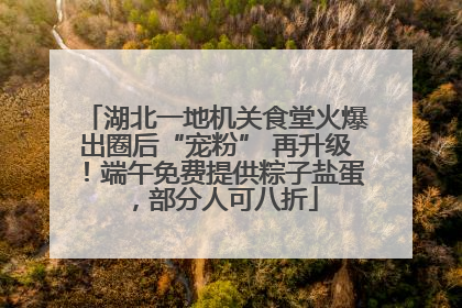 湖北一地机关食堂火爆出圈后“宠粉” 再升级！端午免费提供粽子盐蛋，部分人可八折