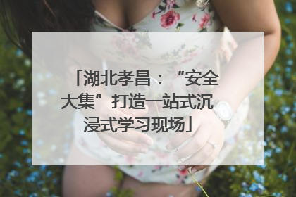 湖北孝昌：“安全大集”打造一站式沉浸式学习现场