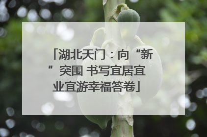 湖北天门：向“新”突围 书写宜居宜业宜游幸福答卷