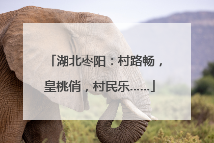 湖北枣阳：村路畅，皇桃俏，村民乐……