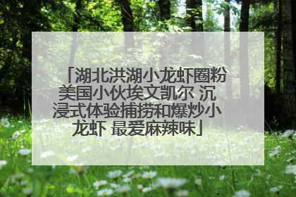 湖北洪湖小龙虾圈粉美国小伙埃文凯尔 沉浸式体验捕捞和爆炒小龙虾 最爱麻辣味