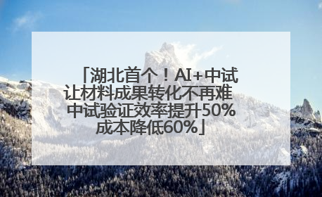 湖北首个！AI+中试让材料成果转化不再难 中试验证效率提升50%成本降低60%