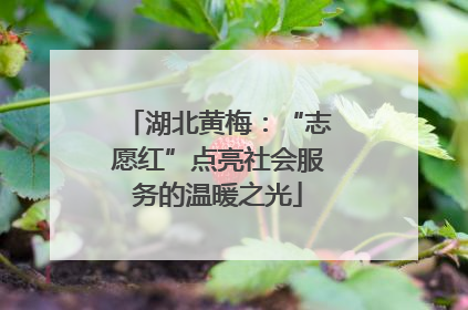 湖北黄梅：“志愿红”点亮社会服务的温暖之光