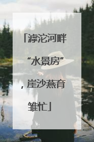 滹沱河畔“水景房”，崖沙燕育雏忙
