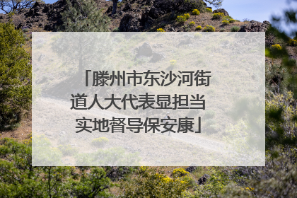 滕州市东沙河街道人大代表显担当实地督导保安康