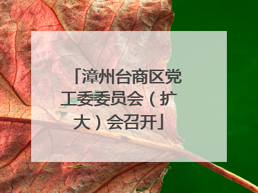 漳州台商区党工委委员会（扩大）会召开