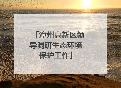 漳州高新区领导调研生态环境保护工作