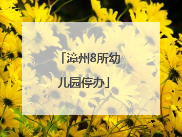 漳州8所幼儿园停办
