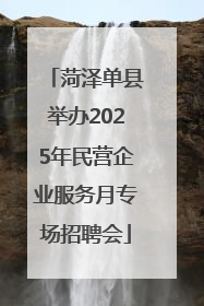 菏泽单县举办2025年民营企业服务月专场招聘会