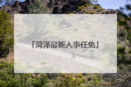 菏泽最新人事任免