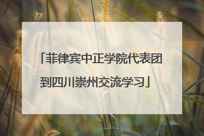 菲律宾中正学院代表团到四川崇州交流学习