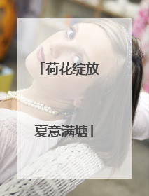 荷花绽放 夏意满塘