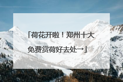 荷花开啦！郑州十大免费赏荷好去处→