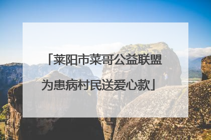 莱阳市菜哥公益联盟为患病村民送爱心款