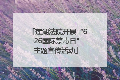 莲湖法院开展“6·26国际禁毒日”主题宣传活动