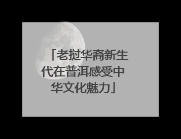 老挝华裔新生代在普洱感受中华文化魅力