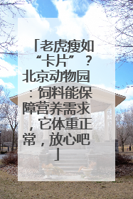 老虎瘦如“卡片”？北京动物园：饲料能保障营养需求，它体重正常，放心吧