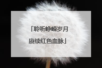 聆听峥嵘岁月 赓续红色血脉