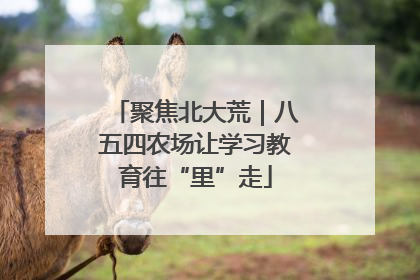 聚焦北大荒｜八五四农场让学习教育往“里”走